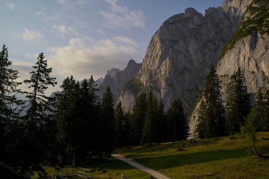 Scenic Mountain Landscape With Pine Trees and Rocky Cliffs
