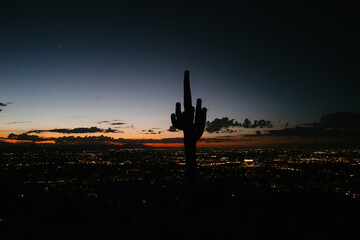 Saguaro Cactus Silhouette Night Camelback