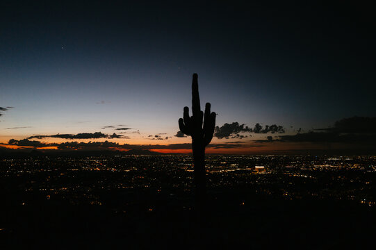 Saguaro cactus silhouette at night, Camelback Mountain, Arizona, USA