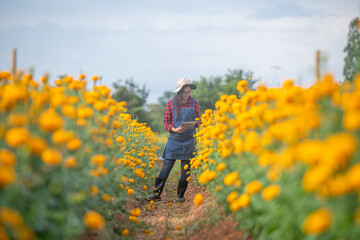 Young woman farmer holding digital tablet in marigold flower field inspecting crops representing smart farming agriculture technology and teamwork in rural life.