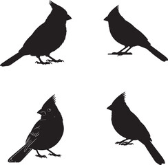 Cardinal Bird Silhouette Collection – Black Vector Icons in Varied Poses