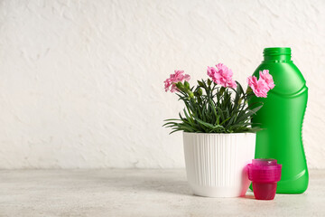 Pot with plant and bottle of fertilizer on white grunge background