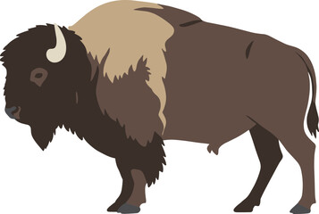 Simplified Flat Color Bison Standing Profile Illustration Wildlife Animal