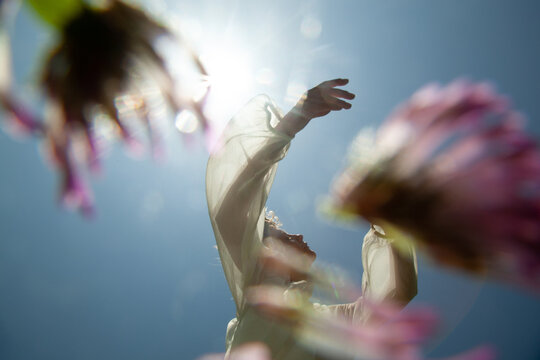Dance in the sunlight 