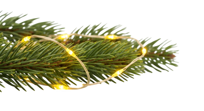 Christmas tree branch with lights, isolated on transparent background - Powered by Adobe