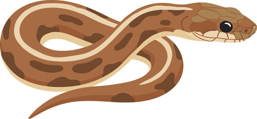 Fototapeta premium Simple Cartoon Style Brown Snake Animal Reptile Isolated Graphic Art