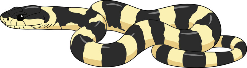 Detailed Cartoon Banded Sea Krait Illustration of Venomous Snake Serpent Reptile