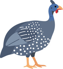 Flat Style Detailed Guinea Fowl Illustration Bird Animal