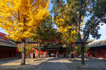 Autumn temple scenery with sunlight and breeze