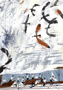seagulls