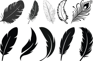 Obraz premium Set of detailed majestic feather collection. Bird Feather black silhouettes. Plumelet collection. Vector isolated on white.Detailed majestic feather collection. Feather Set icon, logo isolated