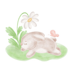 Cute little bunny with butterfly and daisy flower sleeping on lawn. Watercolor rabbit with chamomile illustration for Easter card. Hand-drawn isolated hare, funny animal character for baby shower.