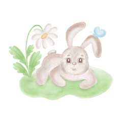 Cute little bunny with daisy flower on lawn. Watercolor rabbit with chamomile illustration for Easter card. Hand-drawn isolated hare, smiling character for baby shower design. Clip art funny animal.