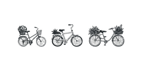 Obraz premium Three vintage bicycles with baskets filled with plants