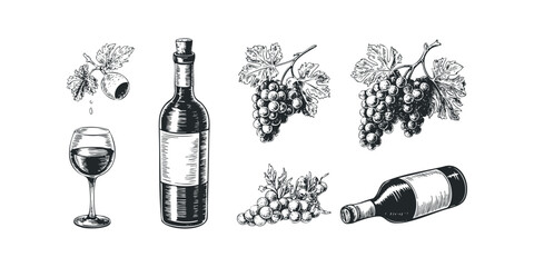 Naklejka premium Hand-drawn wine bottle and grapes with glass