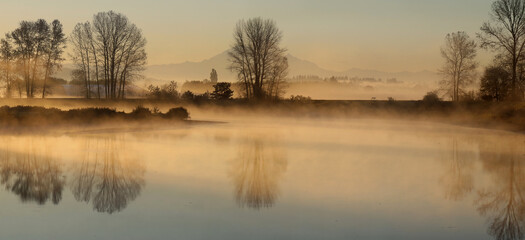 Morning fog over tranquil lake