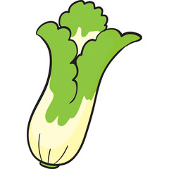Cartoon illustration of a single napa cabbage with light green outer leaves and a creamy yellow core on a white isolated background