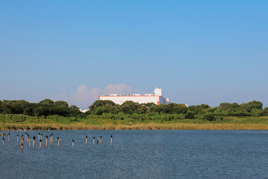 An Ecological Habitat Beside an Industrial Zon.