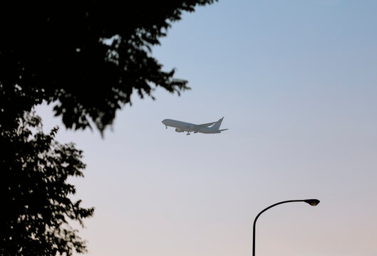 A Plane Between a Lamppost and Tree Silhouettes.