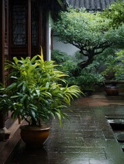 Fototapeta premium Serene Rainy Day in a Lush Courtyard with Vibrant Green Plants