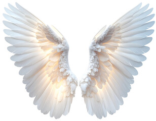 Fototapeta premium Elegant White Angel Wings Fully Spread, Symmetrical Front View, Isolated on Transparent Background