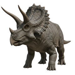Obraz premium Realistic triceratops dinosaur isolated on transparent background
