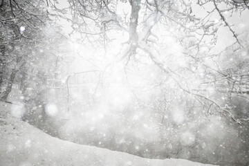 Snowy winter background in the park, blurred abstract seasonal backdrop, snowflake texture, light landscape background