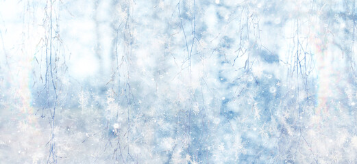 Winter park, abstract background, snow, blurred trees, festive backdrop