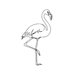 Elegant flamingo standing on one leg, drawn in a continuous single line style, isolated on a white background
