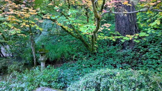 Beautiful Portland Japanese gardens with colorful Maple tree and Rock lantern in early autumn time in Oregon.