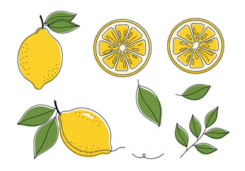 Minimalist Lemon Line Art Set Fresh Fruit Vector Graphic