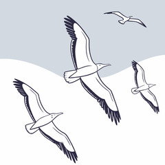 Four seagulls flying in the sky line drawing