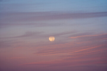 Full moon rising in pastel evening sky