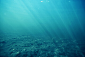 Underwater photo in a fast-flowing freshwater river with algae and underwater landscape