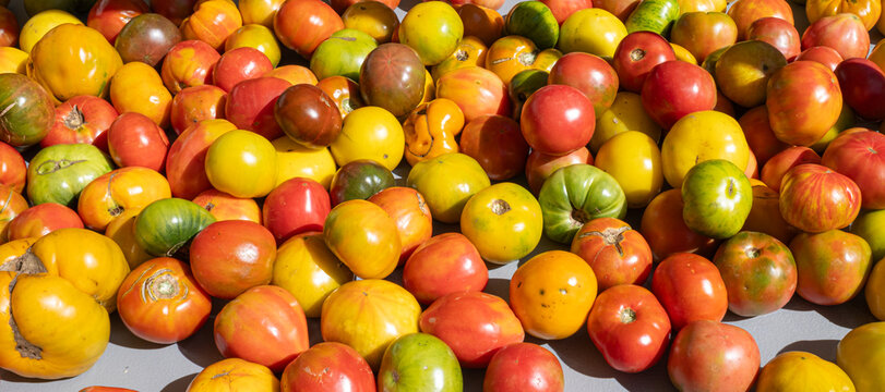 Heirloom Tomatoes