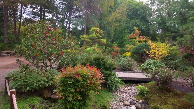 A tranquil and picturesque view of Tsuru Island (Crane Island) within the Gresham Japanese Garden, surrounded by calm water and vibrant, colorful autumn foliage in Gresham, Oregon