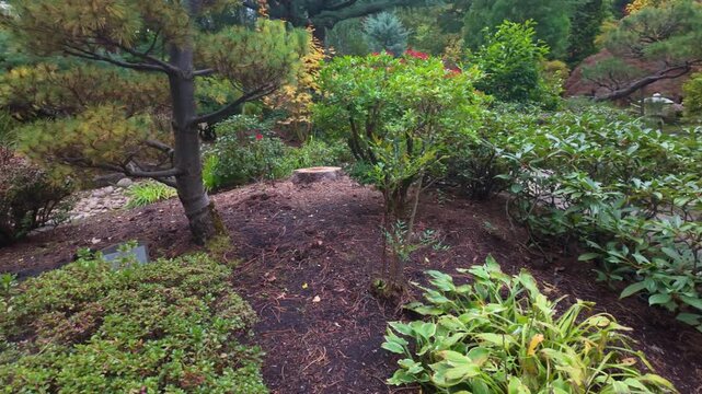 A tranquil and picturesque view of Tsuru Island (Crane Island) within the Gresham Japanese Garden, surrounded by calm water and vibrant, colorful autumn foliage in Gresham, Oregon