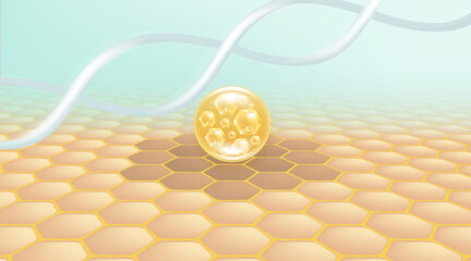 Hyaluronic acid and Niacinamide hair and skin solutions ad, gold collagen serum drops into skin cell with cosmetic advertising background ready to use, illustration vector.	