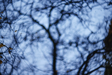 Evening in an autumn park, abstract blurred background, changing seasons in the city