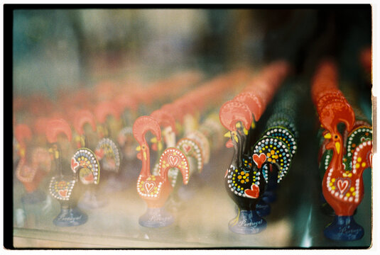 Colorful Roosters Displayed in Portugal