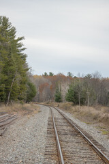 Obraz premium railroad tracks in the countryside during autumn