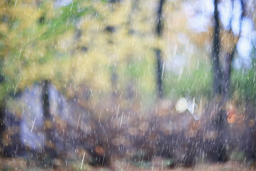 Raindrops in the air against the backdrop of autumn branches, nature view photo