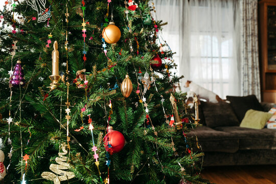 Festive Christmas Tree Decorated With Colorful Ornaments Indoors