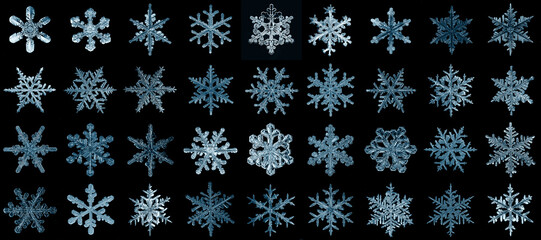 set of snowflakes on a black background, real photos natural crystals macro photo isolated on a...