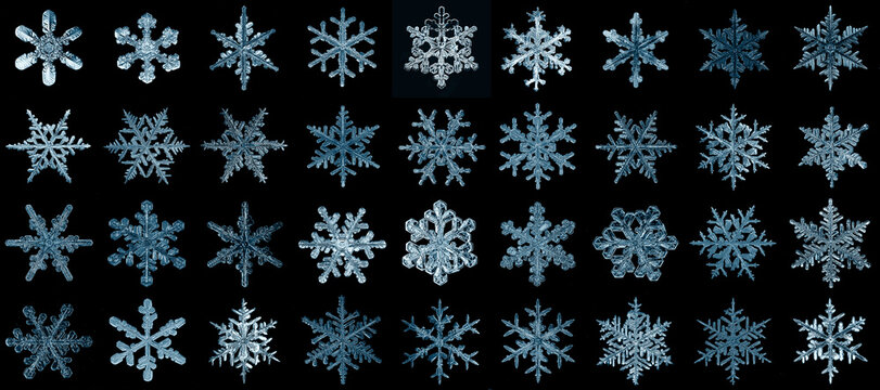 set of snowflakes on a black background, real photos natural crystals macro photo isolated on a dark background