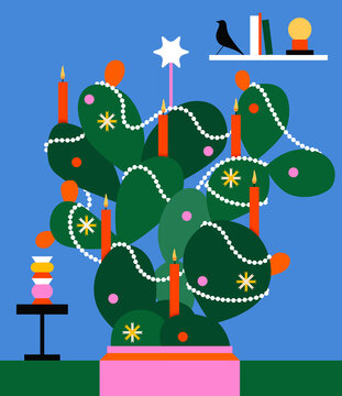Christmas Cactus