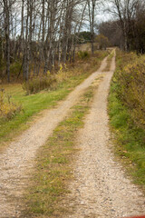 country road in autumn