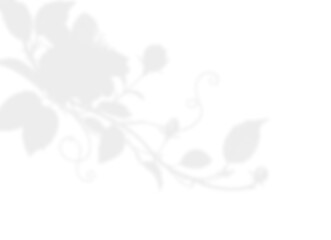 Soft Floral Branch Shadow Overlay