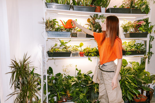 A woman waters plants in pots