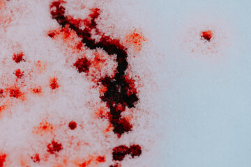 snow texture with blood stains. Traces of blood from crime and street fights..Crime Scene.Red blood wallpaper.A red stain on a snowy ground. 